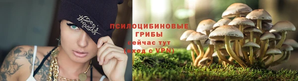 mdma Заволжск